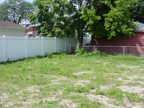 ./Gallery/2011 Bennet Lot Tree Removal/DSC06457.JPG